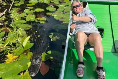 Sinta a emoção de um passeio privado de airboat nos everglades perto de miami. veja jacarés, plantas raras e explore os pântanos de perto. Água mineral incluída.