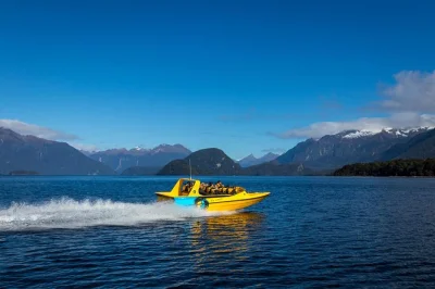 Vivi il brivido del jet boat nel fiordland, osserva le trote nelle acque limpide e passeggia tra gli alberi nativi con una guida locale. gruppo piccolo, attrezzatura inclusa, comodo punto di partenza 