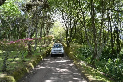Descubre las azores en un tour privado en 4x4 desde ponta delgada: elige tu ritmo, charla con tu guía local, incluye recogida en hotel y explora caminos secretos.