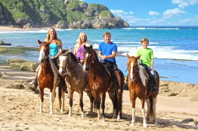 Feel the sea breeze as you ride paso fino horses along puerto rico’s beaches and almond forests, with a local guide, photos, and time to swim or just rest.