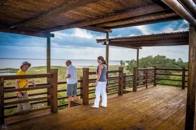 Feel the wild heart of isimangaliso with a full day safari, cape vidal snorkeling, and picnic lunch—includes park fees, guide, and all gear for a seamless trip.