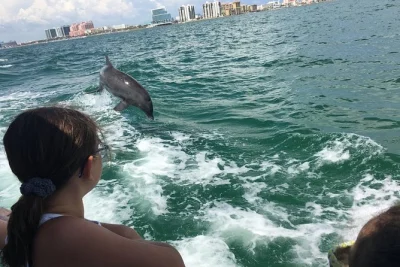 Découvrez clearwater beach lors d’une croisière dauphins à bord du little toot, avec des rencontres proches des dauphins sauvages et un guide local passionné.