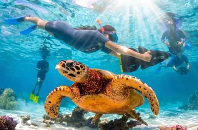 Feel the thrill of sea scooter snorkeling in moorea’s remote coral gardens, guided by locals. includes equipment, bottled water & optional hotel pickup.