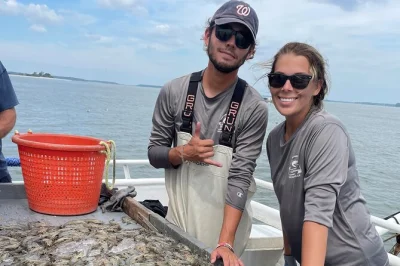 Feel the salt breeze on a hilton head shrimp trawling cruise, help sort the catch with locals, and maybe bring home fresh shrimp. includes 2-hour boat ride.