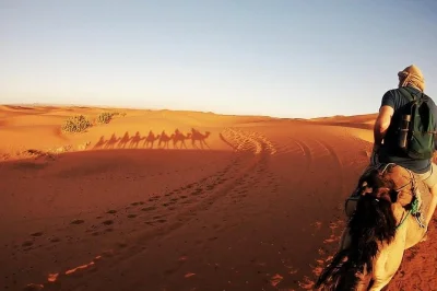 Scopri il deserto marocchino da fez a marrakech: cavalca cammelli a merzouga, esplora antiche kasbah e dormi sotto le stelle. include transfer, alloggi e guida locale.