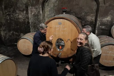 Laissez un sommelier local vous guider dans les domaines familiaux du priorat, dégustez des vieux millésimes rares et savourez un déjeuner tranquille avec accords mets-vins. prise en charge à l’