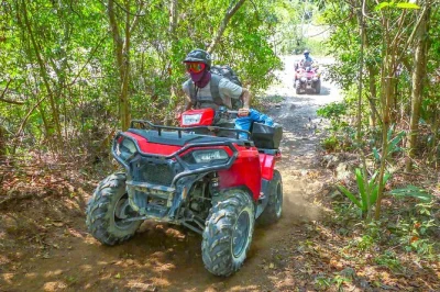Découvrez la jungle de cozumel en atv, savourez de la tequila artisanale et faites du snorkeling juste au bord de la plage. déjeuner, équipement et transfert inclus, guidé par des locaux passionn