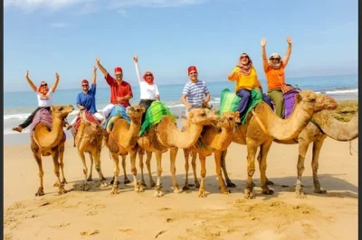 Feel tangier’s pulse on a private tour with kasbah views, hercules caves, and a camel ride by the atlantic. includes hotel pickup, entry fees, and local guide.