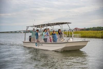 Feel the salt air on a hilton head dolphin cruise, spot atlantic bottlenose dolphins, and hear lowcountry stories from a local naturalist. includes water & guide.