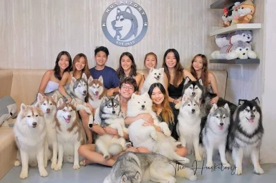 Feel the energy of siberian huskies in melaka, meet champion dogs from around the world, and get your group photo. includes activities for kids and all ages.
