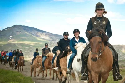 Découvrez la balade à cheval sur des chevaux islandais près de reykjavik, avec prise en charge à l’hôtel, équipement inclus et guide local qui vous trouve le cheval idéal. réservez votre sor