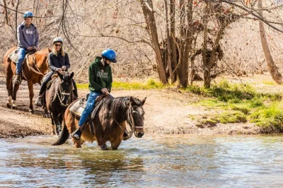 Disfruta el sonido del río, cruza a caballo y contempla el monumento tuzigoot en cottonwood, cerca de sedona. incluye guía certificado, equipo completo y una auténtica ruta vaquera.