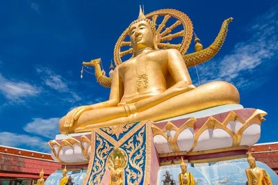 Feel the spirit of koh samui on a half day tour—temples, na muang waterfall, and the mummified monk. includes hotel pickup, english guide, and light meal.