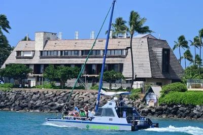 Oahu waikiki: schwimme mit hawaiianischen grünen meeresschildkröten auf einer entspannten katamaran-tour. inklusive hochwertiger schnorchelausrüstung, snacks, getränken und garantiertem schildkrö