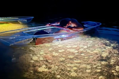 Descubre la magia nocturna de key west en un tour guiado en kayak por manglares, con kayaks led iluminados, guías locales y todo el equipo incluido—además de estacionamiento gratis.