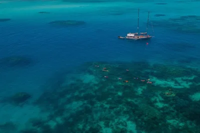 Siente la brisa marina navegando desde cairns a un lugar privado de la gran barrera de coral y green island, con solo 25 personas, almuerzo, equipo de snorkel y apoyo de la tripulación.