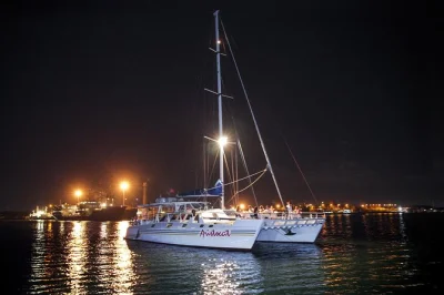 Erlebe die frische meeresbrise bei einer bali dinner cruise auf der aristocat mit live-musik, einem fünf-gänge-menü und abholung vom hotel. entspanntes abendprogramm ab benoa hafen.