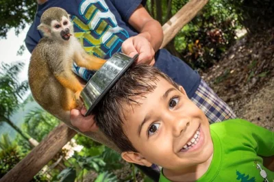 Feed squirrel monkeys, taste fresh cacao, and meet local farmers on this punta cana day trip. includes hotel pickup, guided tour, and bottled water.