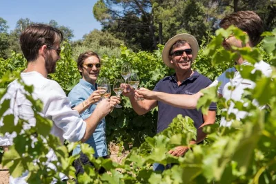 Feel the sun, taste provencal reds & rosés, and meet local winemakers on a half-day cotes de provence wine tour from aix-en-provence. includes transport & tastings.