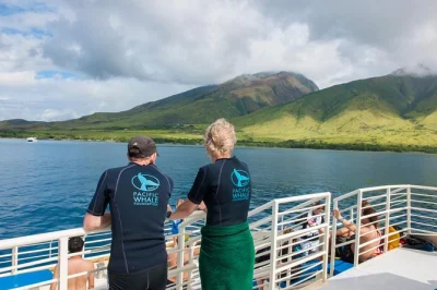 Erlebe die frische meeresbrise beim schnorcheln im molokini krater und bei turtle arches auf maui, entdecke meeresschildkröten, genieße bbq-mittagessen und entspanne mit allem equipment und erfahren