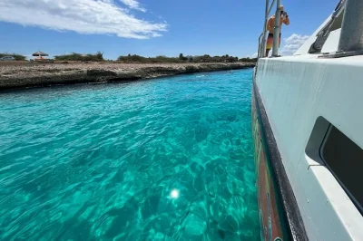 Scopri la costa di aruba in catamarano, fai snorkeling al relitto antilla, nuota con le tartarughe a tres trapi e goditi pranzo leggero e open bar con equipaggio locale.