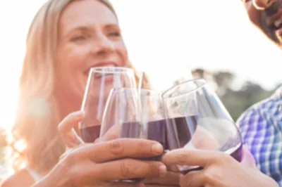 Niagara-on-the-lake, degustazioni di vini con guida privata, fino a 16 assaggi, tagliere gourmet incluso e transfer comodo per il tuo gruppo. esperienza autentica tra le vigne.