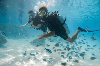 Feel the first rush of scuba diving in bora bora’s lagoon, swim among tropical fish with a pro instructor, and enjoy hotel pickup for a relaxed afternoon adventure.