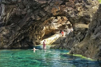 Scopri la costa selvaggia di madeira a nord-ovest, nuota nelle piscine vulcaniche di porto moniz e passeggia nella foresta millenaria di fanal, con pick-up incluso.