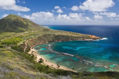 Découvrez la côte sauvage d’oahu : vue au pali lookout, dégustation de macadamias frais, baignade sous la cascade de waimea et détente à sunset beach, avec prise en charge à votre hôtel à wa