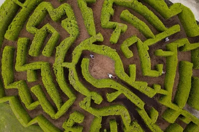 Scopri il vandusen botanical garden di vancouver, passeggia tra 55 acri di piante da tutto il mondo, sfida il labirinto di siepi e rilassati al caffè. biglietto d’ingresso immediato.