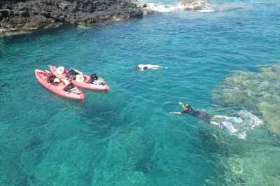 Découvrez kailua-kona au lever du jour : kayak, dauphins à bosse, grottes marines et snorkeling sur des récifs colorés. petit groupe, guide local, matériel inclus.