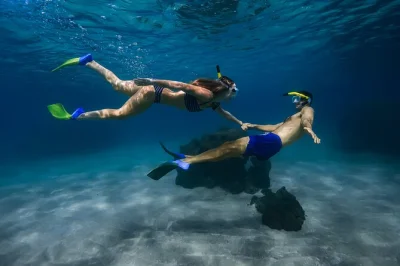 Erlebe schnorcheln mit meeresschildkröten in mauis turtle town – kleine gruppen, lokale guides, inklusive ausrüstung, fotos und videos ohne extra-kosten.