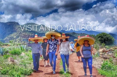 Esplora la ruta del tequila da guadalajara. visita distillerie, assaggia tequila, ammira i campi di agave e gusta i sapori locali in un tour guidato di 8 ore.