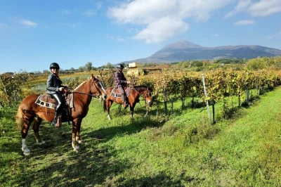 Descubre pompeya con un arqueólogo, degusta vinos del vesubio y disfruta un paseo a caballo por viñedos—entrada, almuerzo y traslado incluidos.