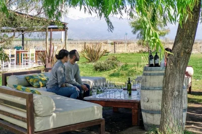 Sip malbec in uco valley’s top wineries, enjoy a gourmet lunch with andes views, and relax with private driver pickup from mendoza. includes tastings and local guidance.