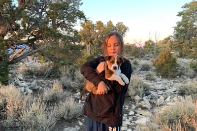Descubre sedona y oak creek canyon en un tour privado de 2 horas. captura vistas de las rocas rojas, explora sitios de vortex y disfruta snacks locales. reserva tu viaje personalizado.