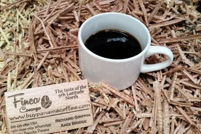 Feel, roast & taste coffee in palmira, boquete. pick cherries, try geisha beans, and enjoy a small-group tour with local stories. includes coffee & tea.