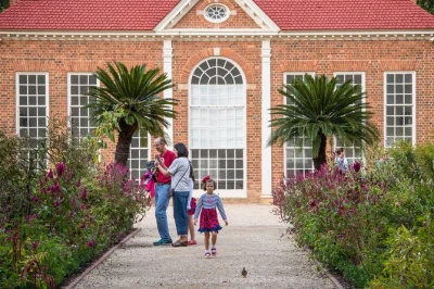 Step inside george washington’s mount vernon and wander old town alexandria on a relaxed day trip from dc, with pickup, entry tickets, and a local guide included.