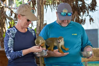 Feel squirrel monkeys climb on your shoulders, stroll under puerto plata’s colorful umbrella street, and explore the old fort—all with pickup and local guide.