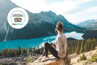 Découvrez la beauté sauvage de l’icefields parkway lors d’une journée en petit groupe depuis banff, avec balades tranquilles, rencontres animalières et pique-nique. prise en charge et guide lo