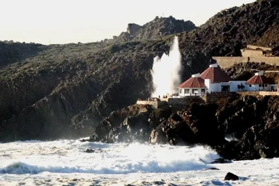 Vivi la potenza di la bufadora, passeggia nel vivace mercato di baja e gusta una margarita classica a ensenada. include pick-up in hotel, guida locale e snack.