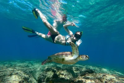 Feel the reef up close in aguadilla with a marine biologist, all gear included. shore entry, safety focus, and real ocean stories—book your snorkeling adventure now.
