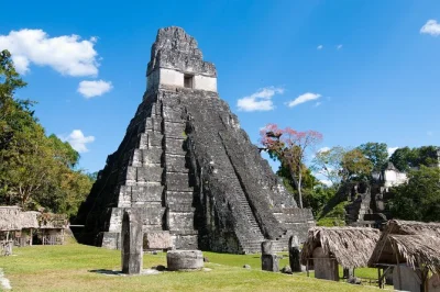 Step into the heart of tikal’s ancient temples on a day trip from san ignacio, with border crossing, hotel pickup, and a local lunch included—history comes alive here.