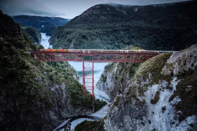 Hear the kea call, ride the tranzalpine train, and share afternoon tea on a high country sheep farm. includes hotel pickup, local guide, and lunch stop.
