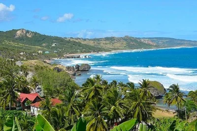 Feel the textures of earthworks pottery, wander lush flower forest gardens, enjoy caribbean lunch and watch green monkeys at barbados wildlife reserve. includes pickup.