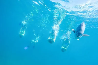 Vivi l’emozione a los cabos con snorkeling motorizzato, giri in sea scooter, kayak e stand-up paddle. include pickup, guide esperte e quesadillas fresche in spiaggia.