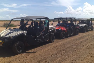 Feel the wind on a curacao buggy tour with caves, wild flamingos, and time to snorkel at kokomo beach. includes snorkeling gear, water, and local guide pickup.