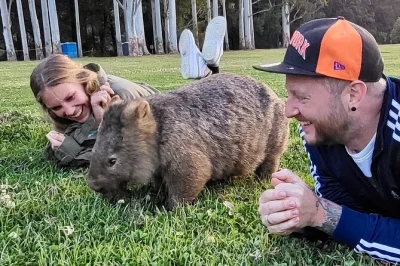 Descubre canguros y wombats salvajes cerca de sydney, recorre senderos de selva, prueba las mejores tartas y cena en un pub histórico con guía local.