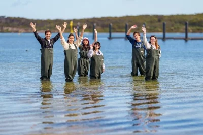 Step into waders at coffin bay, wade out to a real oyster farm, taste oysters straight from the water, and learn shucking with local farmers. includes all gear.