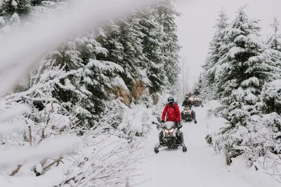 Découvrez la motoneige à whistler dans la vallée de callaghan avec des guides locaux, équipement inclus. navette, initiation et visite de la mine d’or northair au programme.